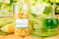 Lambeth biofuel availability
